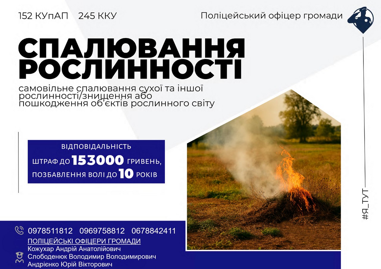 Спалювання рослинності