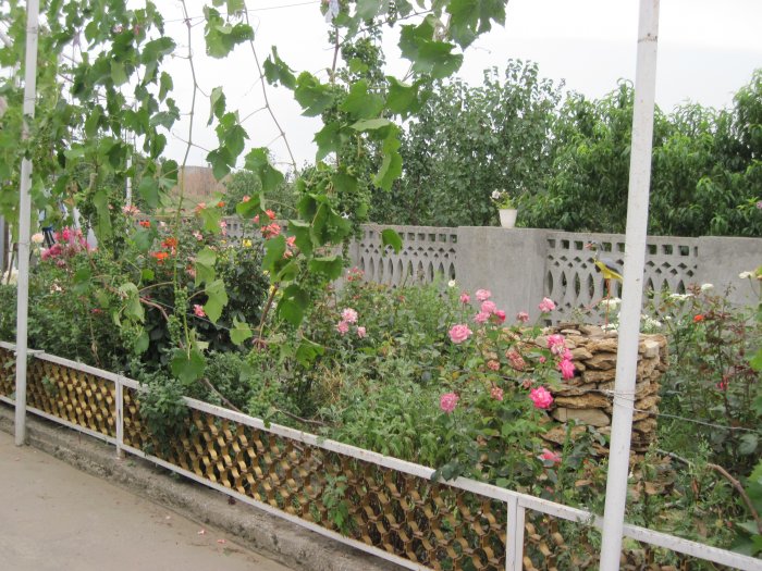 До Дня міста  буде визначено кращу вулицю та кращий будинок