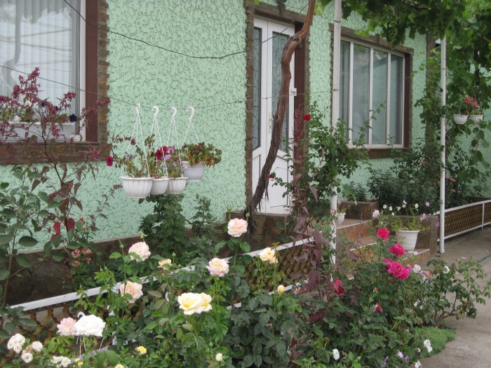До Дня міста  буде визначено кращу вулицю та кращий будинок