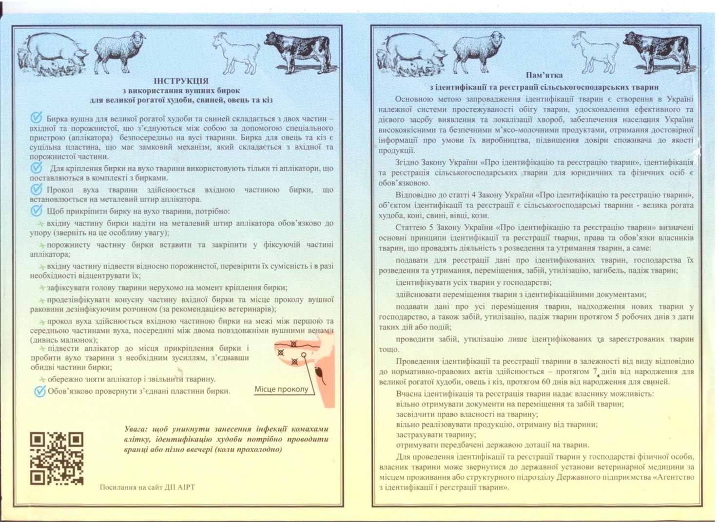 instruktsiya